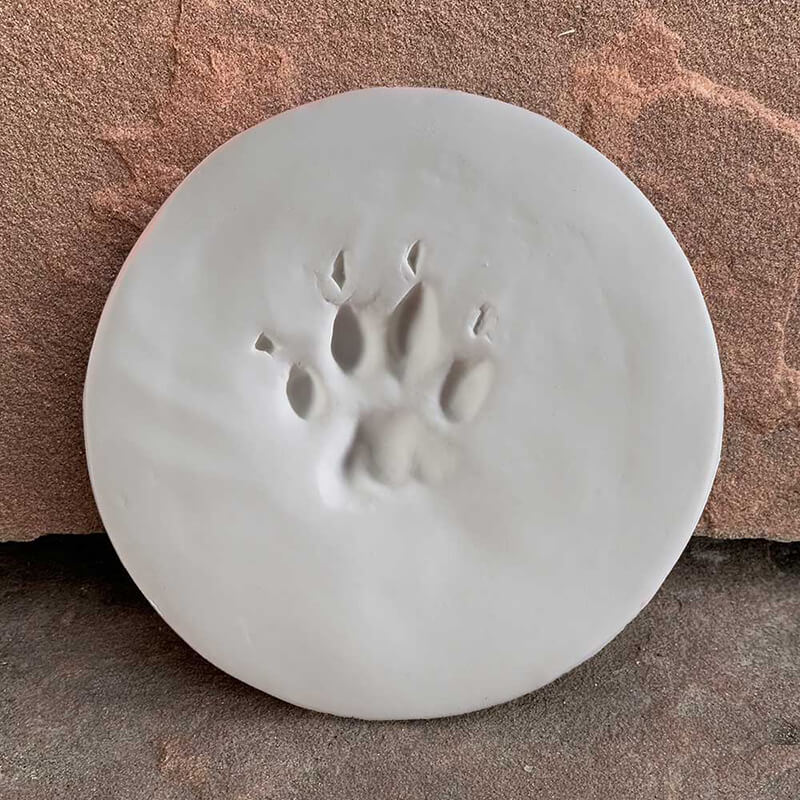 Clay paw print